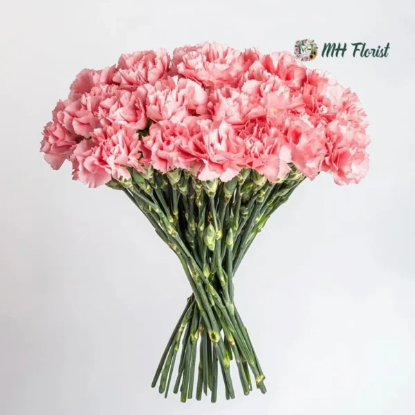 14 Fresh Pink Carnations with Free Glass Vase