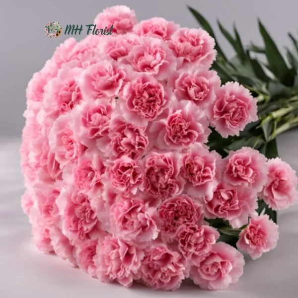 14 Fresh Pink Carnations with Free Glass Vase