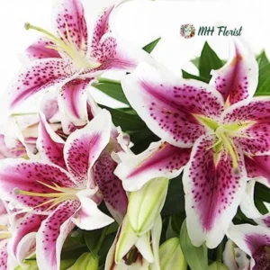 Bouquet of 5 Fresh Barbie Pink Lilies (Hot)