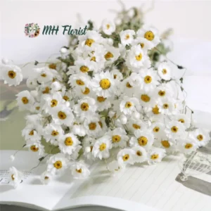 Bouquet of Dried White Chrysanthemums for Decoration