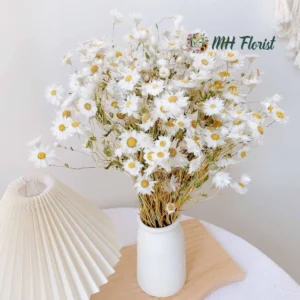 Bouquet of Dried White Chrysanthemums for Decoration