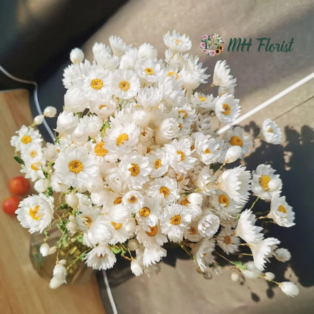 Bouquet of Dried White Chrysanthemums for Decoration