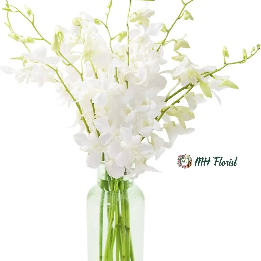 Fresh White Orchids with Vase