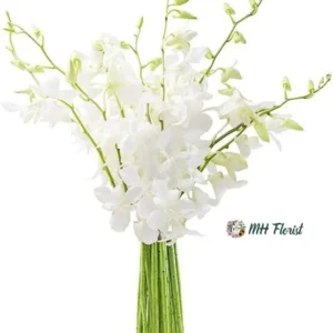 Fresh White Orchids with Vase