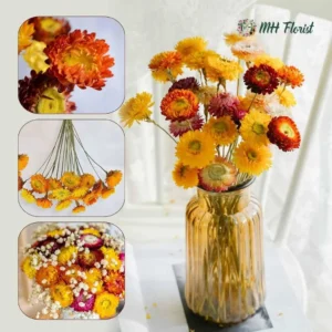 Natural Dried Daisy Flowers Bouquet - Includes Free Vase