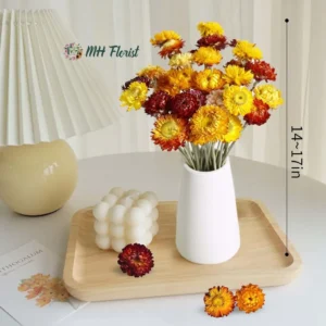 Natural Dried Daisy Flowers Bouquet - Includes Free Vase