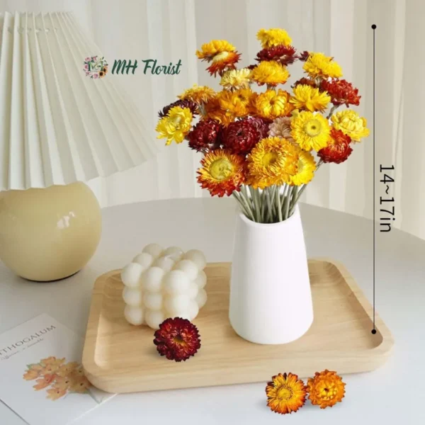 Natural Dried Daisy Flowers Bouquet - Includes Free Vase