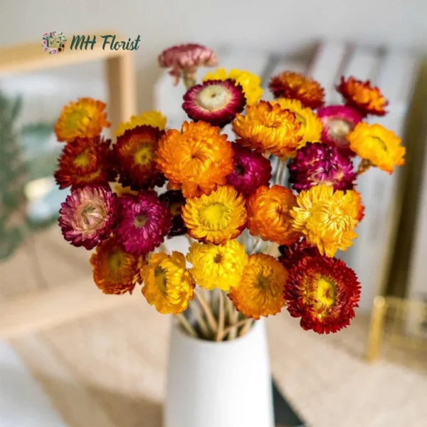 Natural Dried Daisy Flowers Bouquet - Includes Free Vase