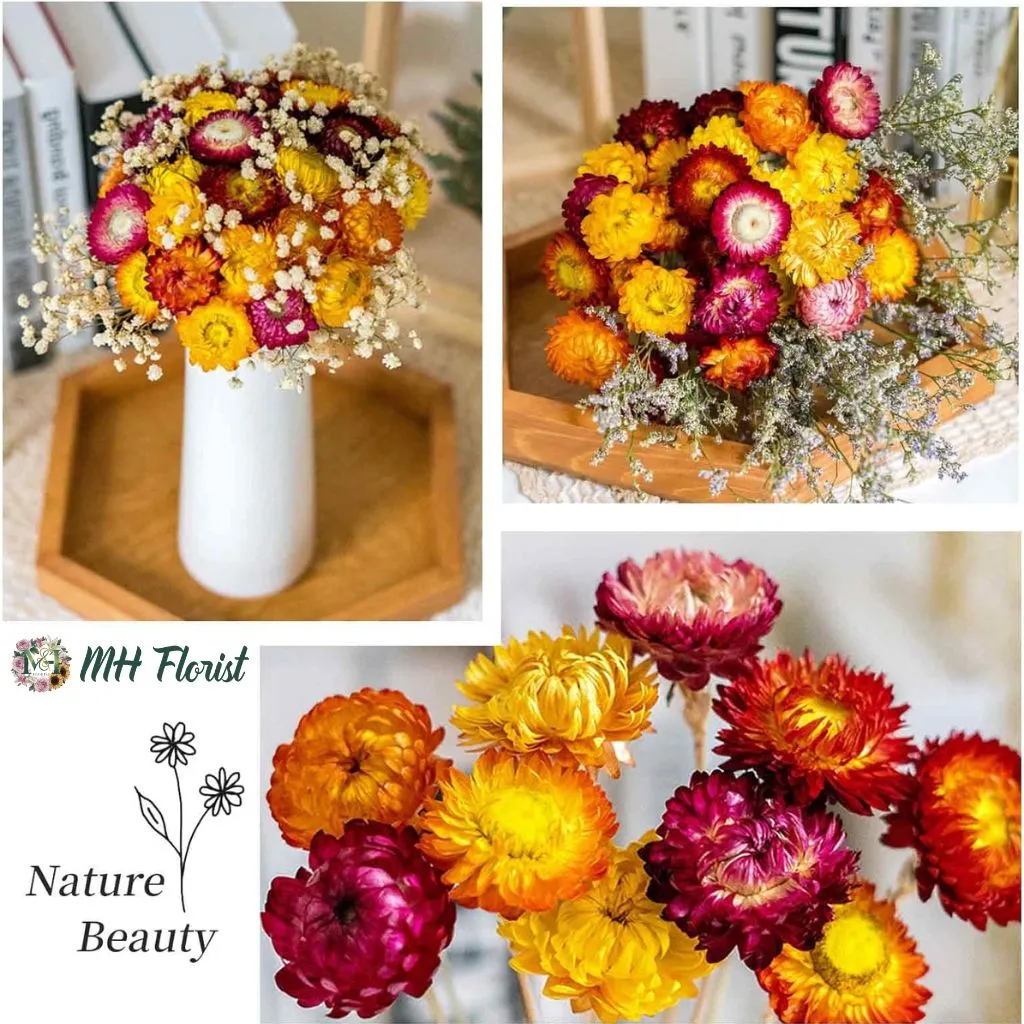 Natural Dried Daisy Flowers Bouquet – Includes Free Vase