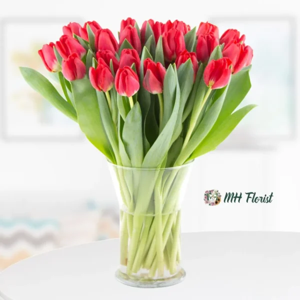 Stunning Bouquet of 10 Red Tulips – A Perfect Gift