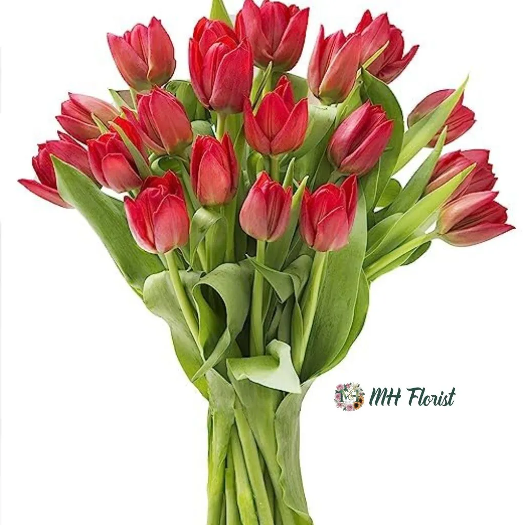 Stunning Bouquet of 10 Red Tulips – A Perfect Gift